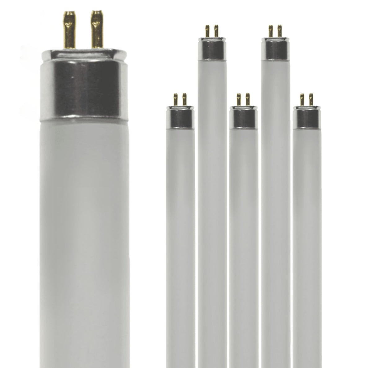 24 Inch 24W 4100K Cool White T5 Fluorescent Bulb Pack of 6 M437