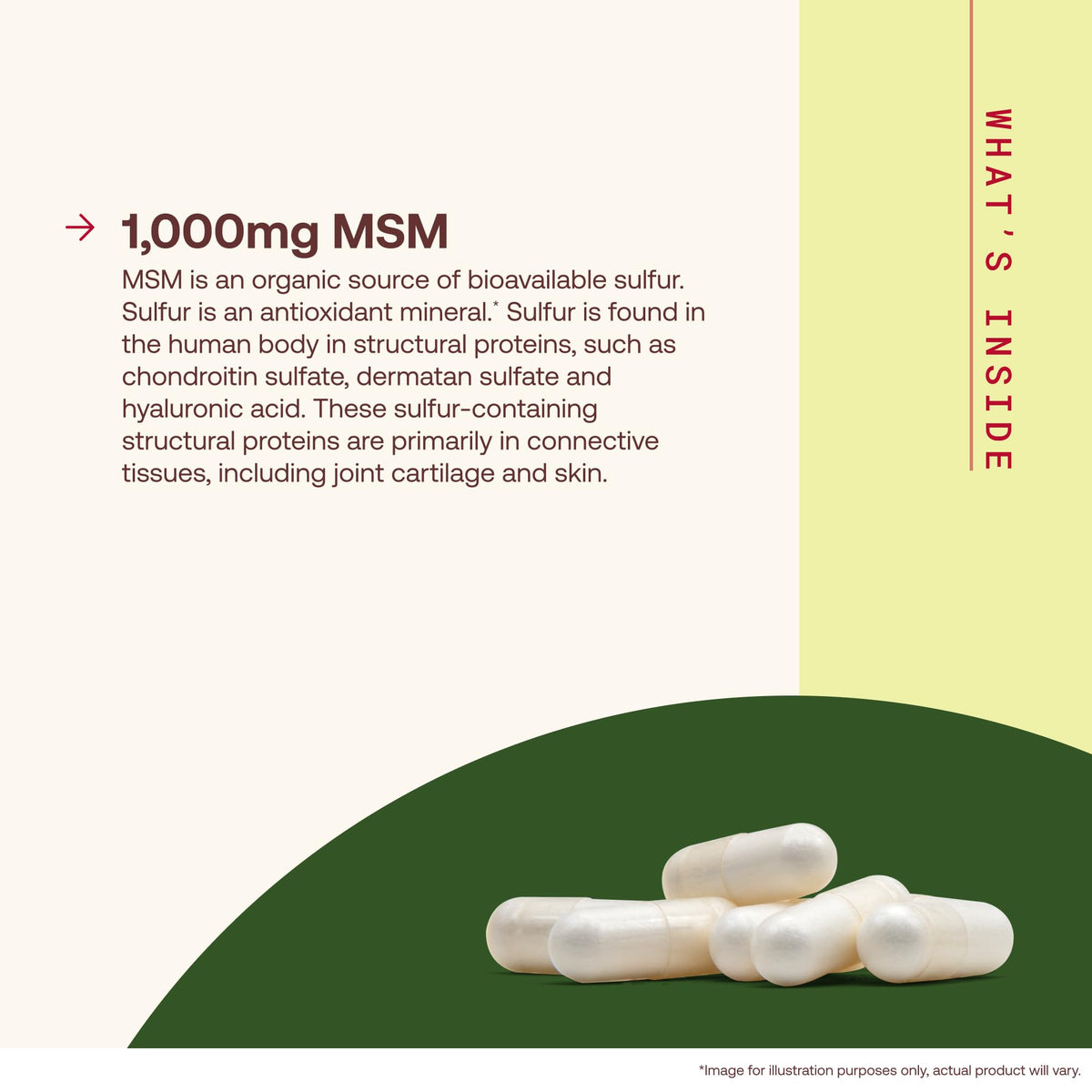 MSM Capsules 1,000 mg 200 Capsules Y6981