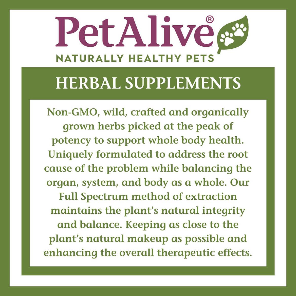2 Fl Oz Herbal Nervous System Support for Pets S59374