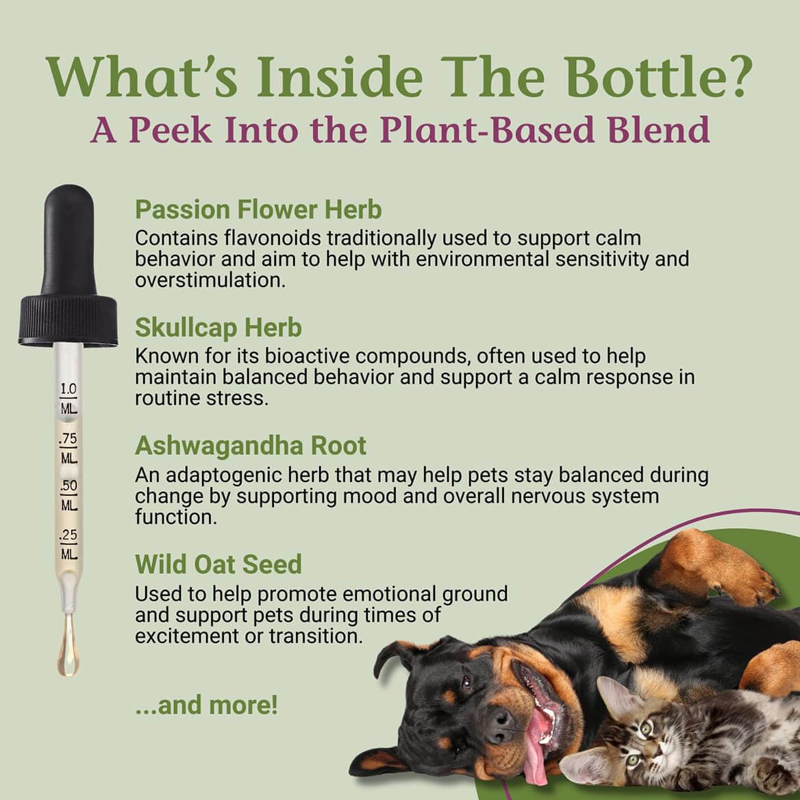 2 Fl Oz Herbal Nervous System Support for Pets S59374