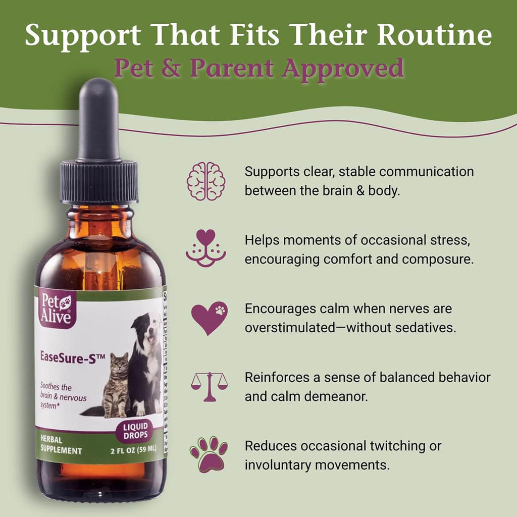 2 Fl Oz Herbal Nervous System Support for Pets S59374