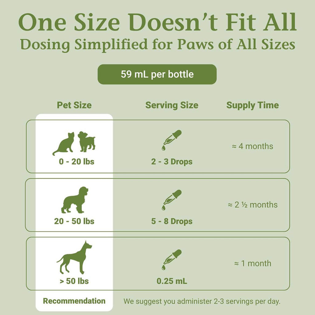 2 Fl Oz Herbal Nervous System Support for Pets S59374