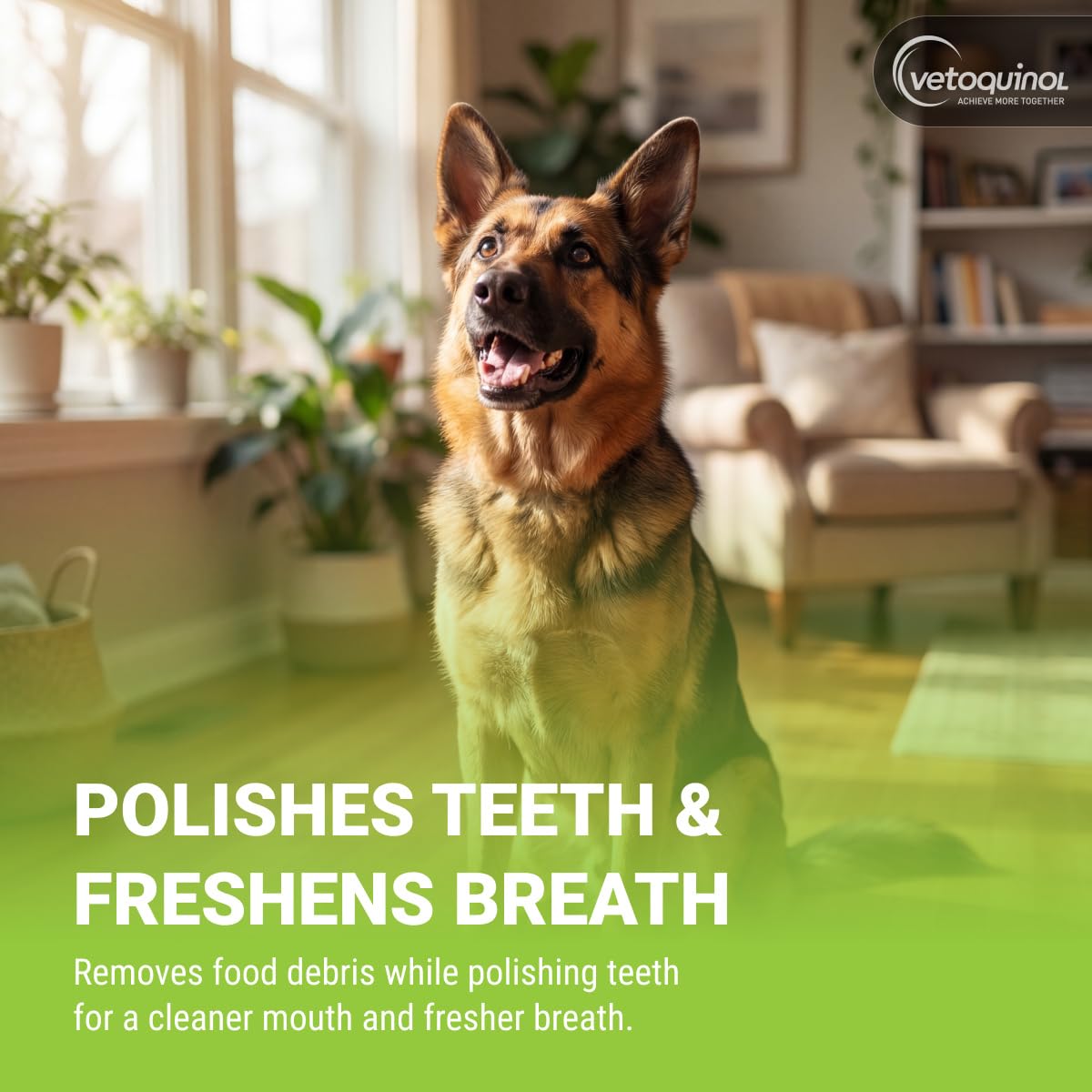 Enzymatic Toothpaste Kit + Fingerbrush, Poultry Flavor L8628