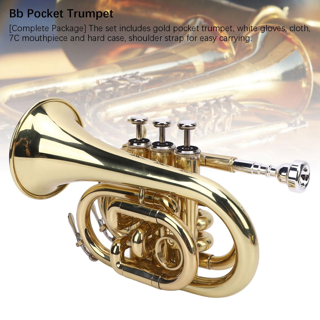 Bb Pocket Trumpet, Ni Plated Brass with 7C Mouthpiece K7647