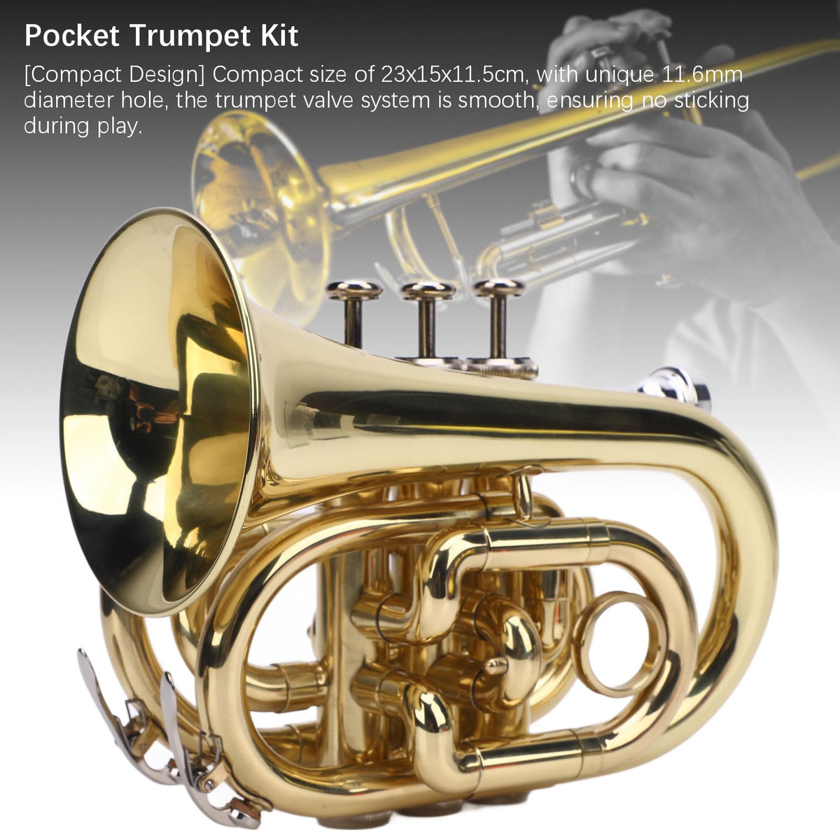 Bb Pocket Trumpet, Ni Plated Brass with 7C Mouthpiece K7647