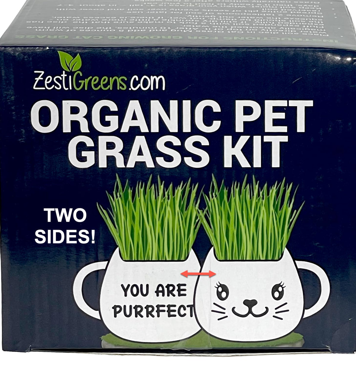 Cat Grass Growing Kit with Seeds, Soil & Ceramic Planter F2029