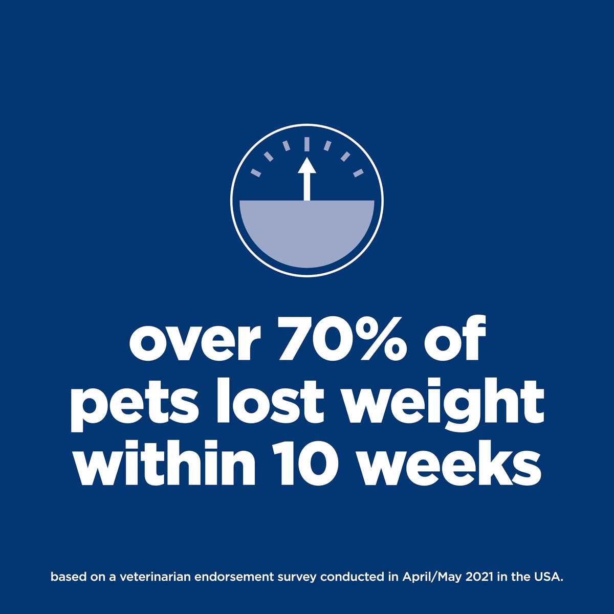 Dry Dog Food E185