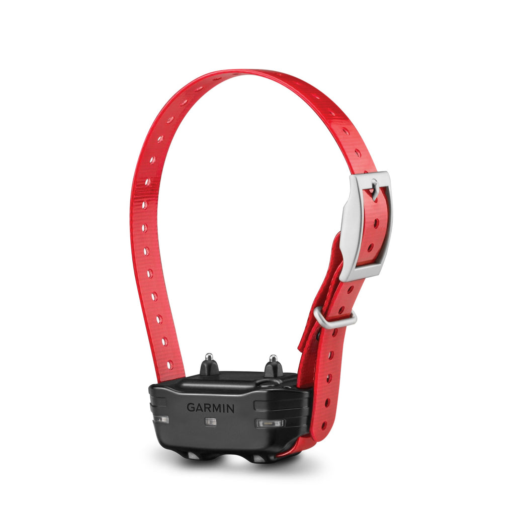 Red Dog Collar R661417