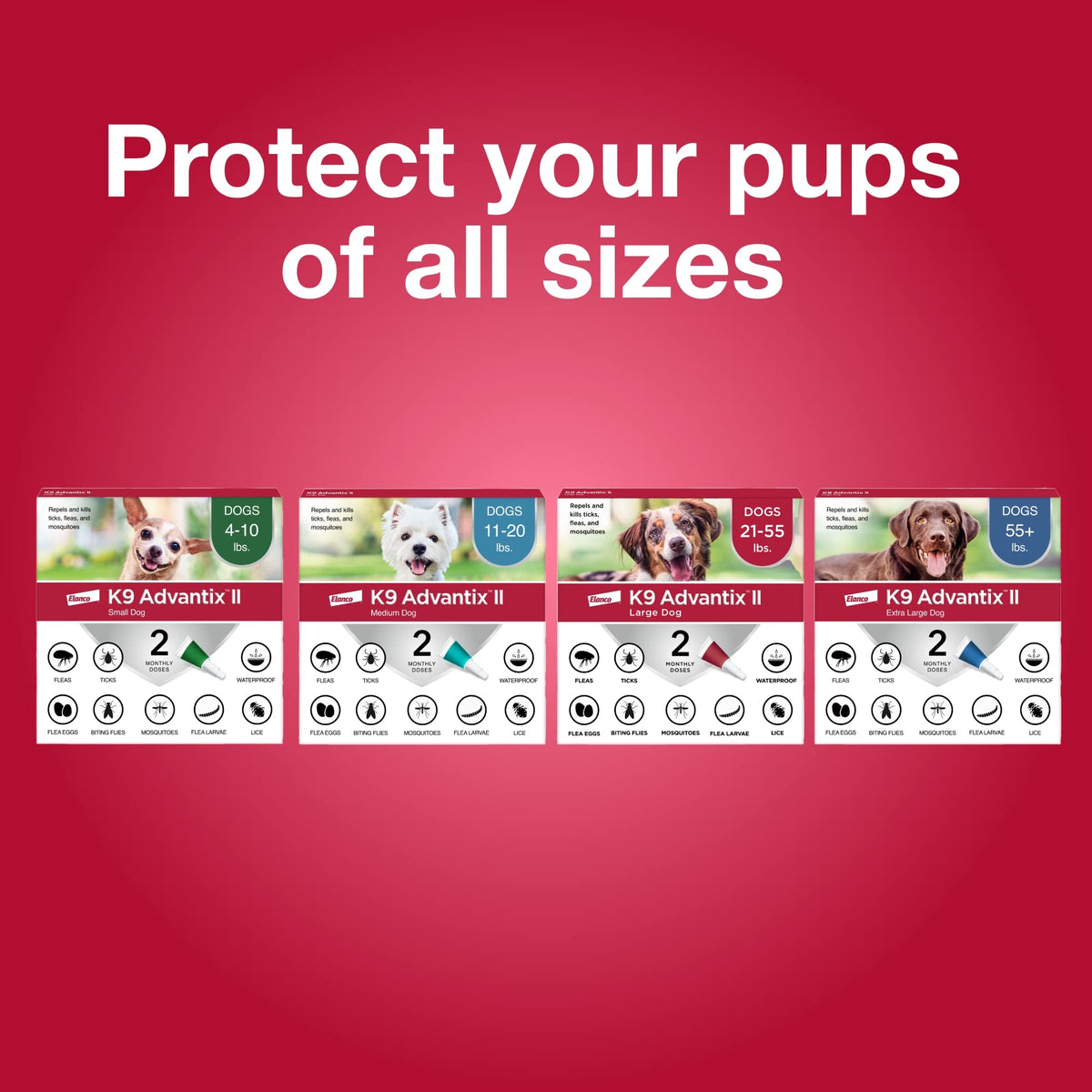 Flea & Tick Topical for Small Dogs 4–10 lbs. L376