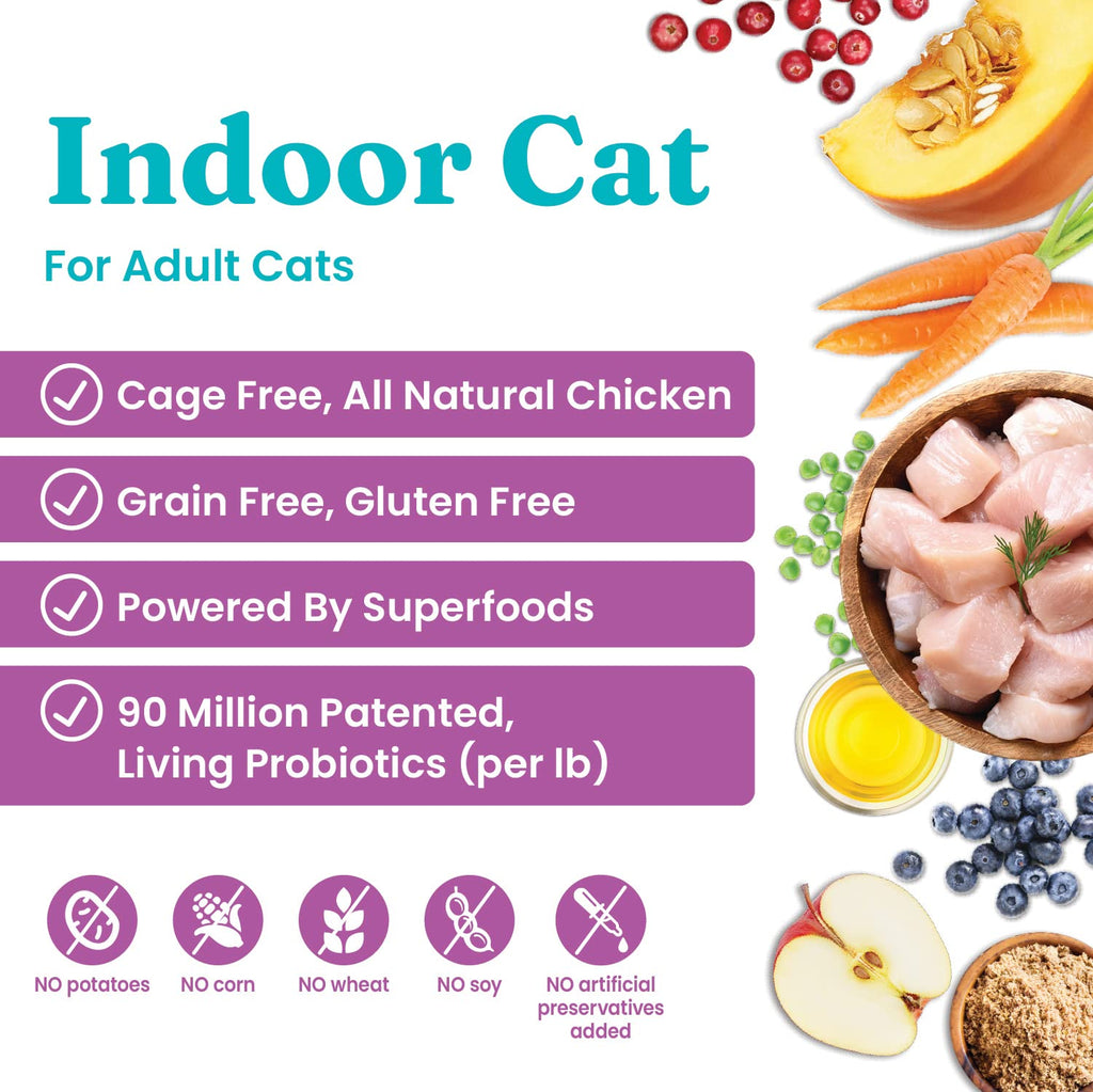 Solid Gold Dry Cat Food Chicken 6lb Wet Cat Food Variety Pack 12 Pack J806