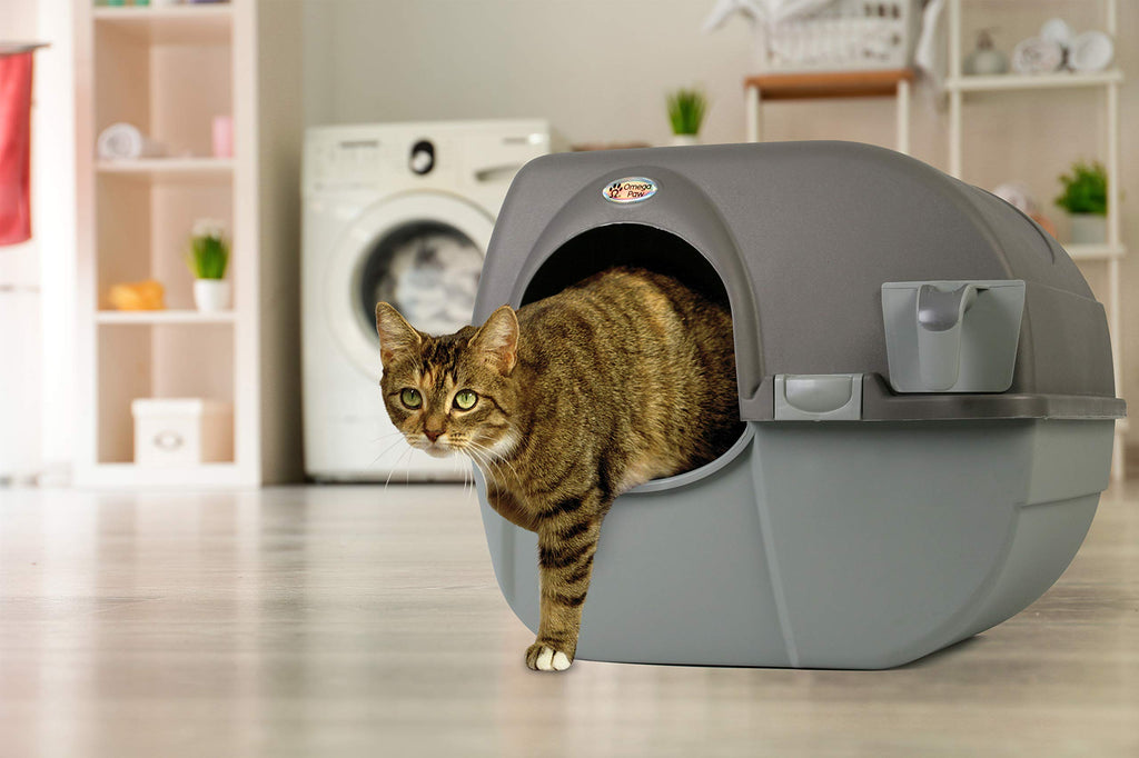 Large Brown Self Cleaning Litter Box L554574