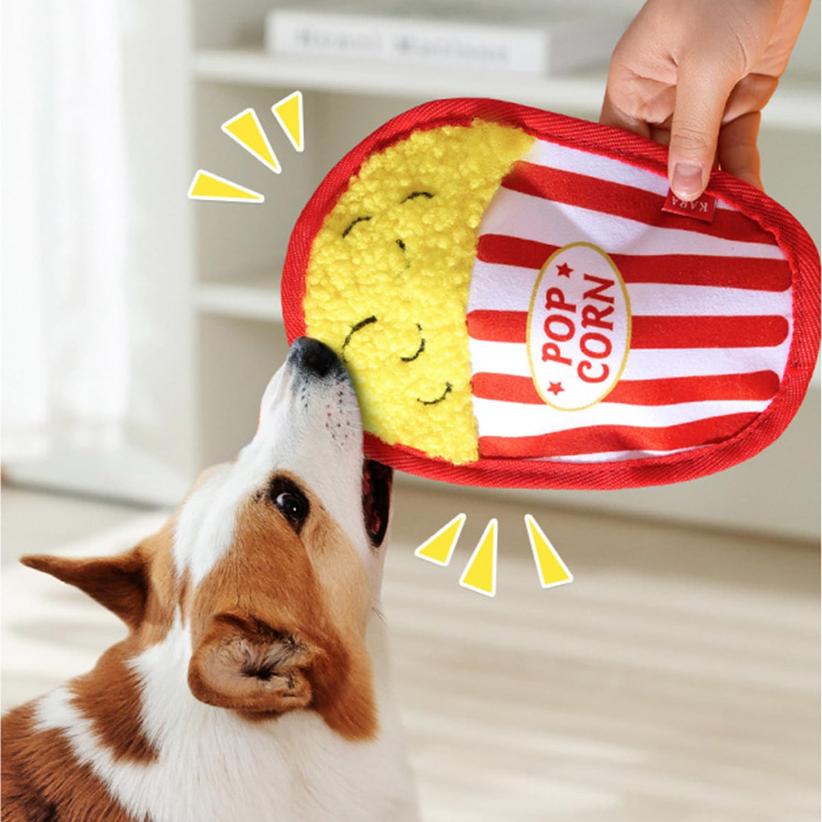 Plush Squeaky Crinkle Dog Toys Z96969
