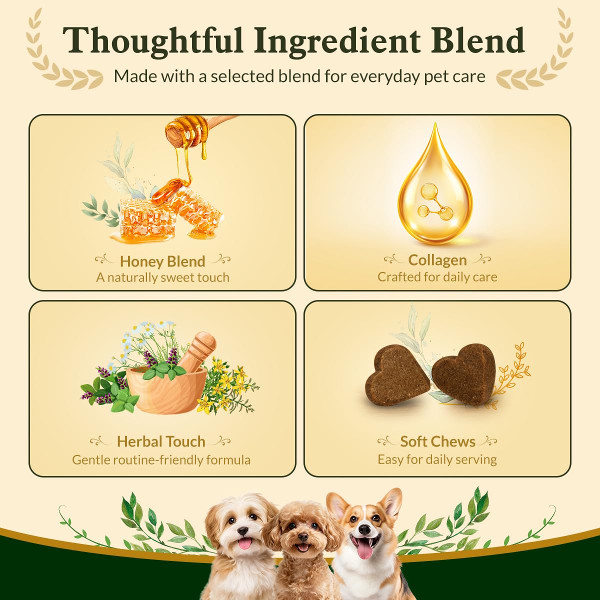 Soft Chews for Dogs J2720