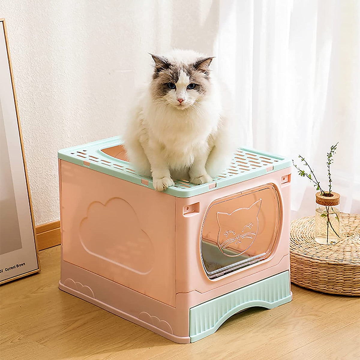 Foldable Top Entry Cat Litter Box with Lid and Scoop K61620