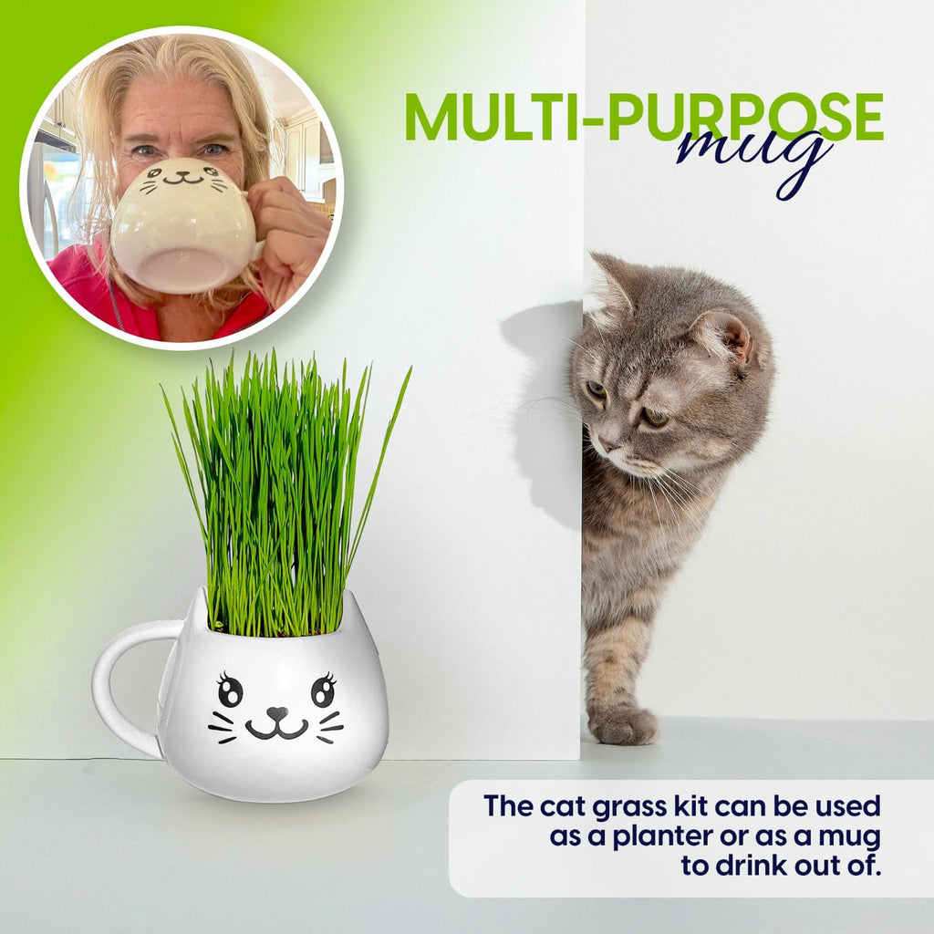 Cat Grass Growing Kit with Seeds, Soil & Ceramic Planter F2029