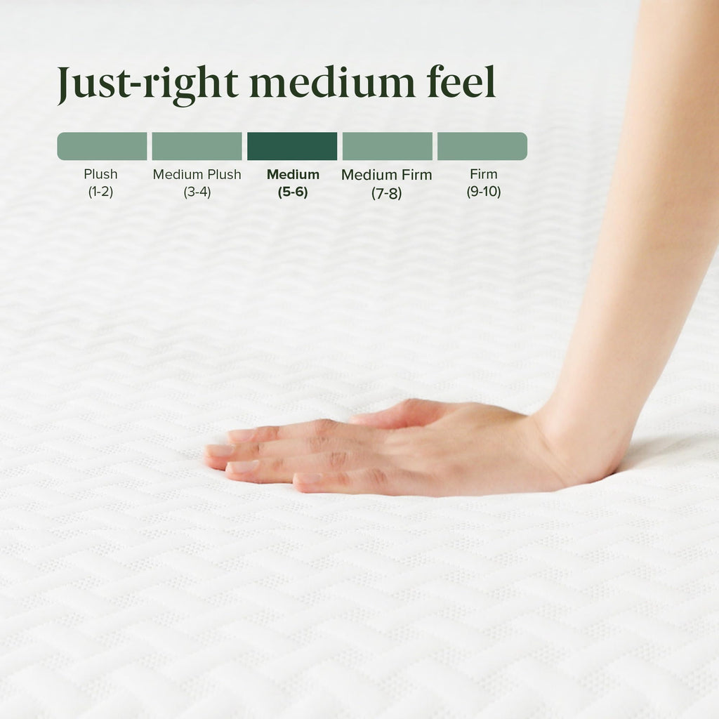 6 Inch Twin Memory Foam Mattress Z63477