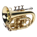 Bb Pocket Trumpet, Ni Plated Brass with 7C Mouthpiece K7647
