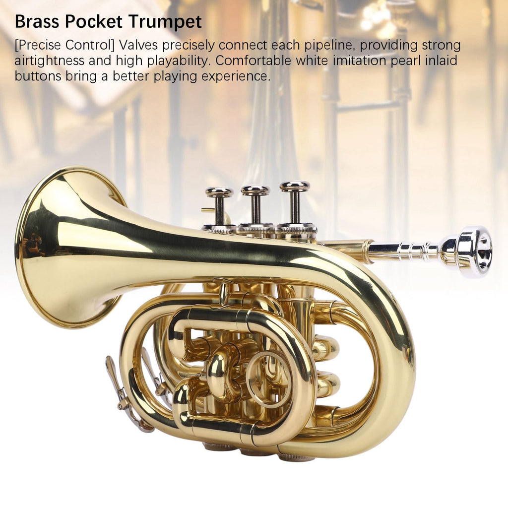 Bb Pocket Trumpet, Ni Plated Brass with 7C Mouthpiece K7647