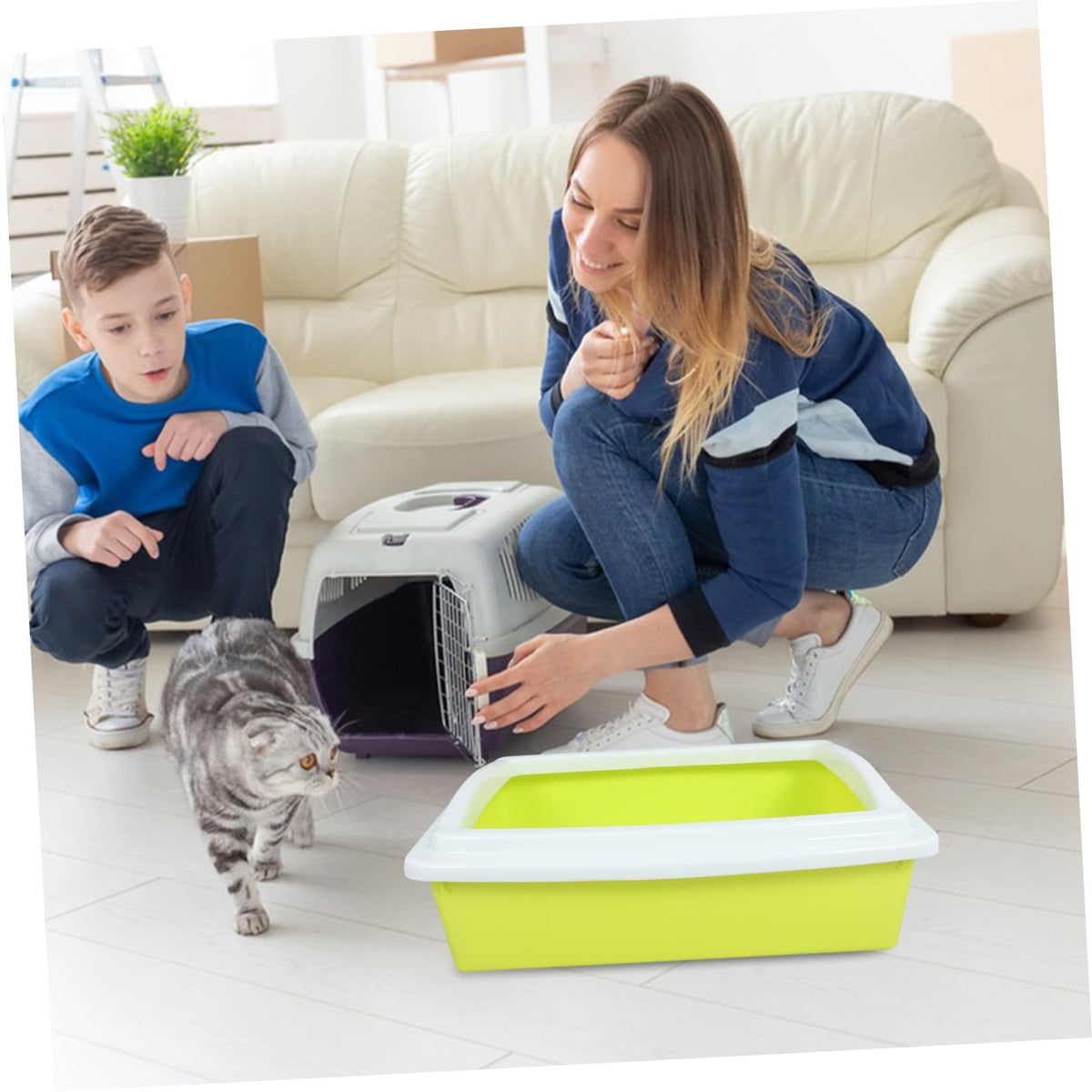 Open Top Cat Litter Box with Frame Semi-Enclosed U5347