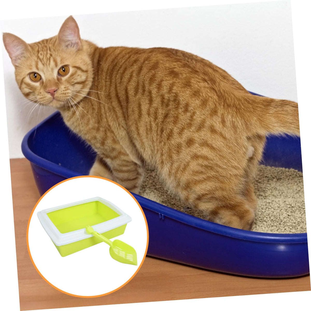 Open Top Cat Litter Box with Frame Semi-Enclosed U5347