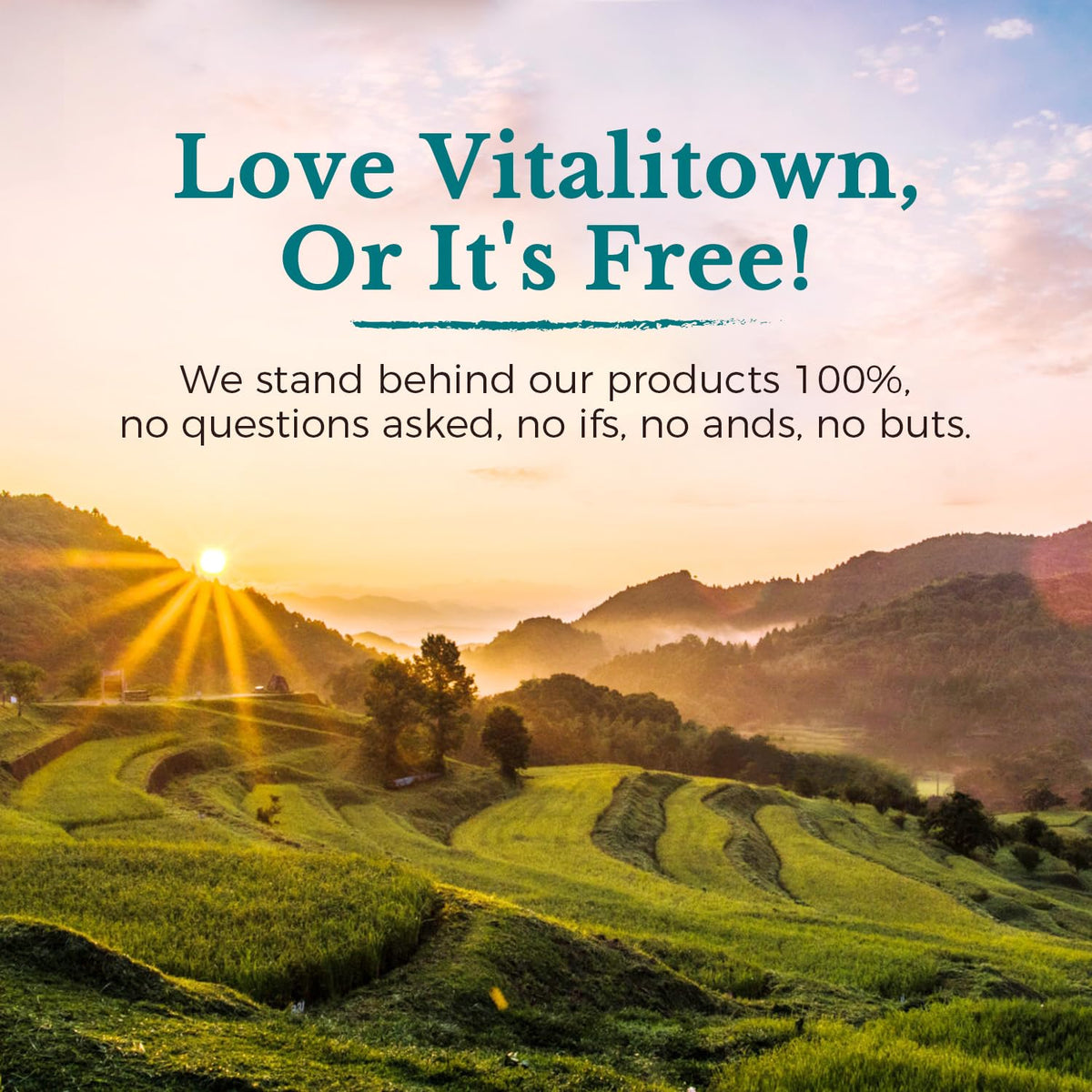 Probiotics 120 Billion CFUs 36 Strains with Prebiotics & Digestive Enzymes 30 Veg Caps M3074