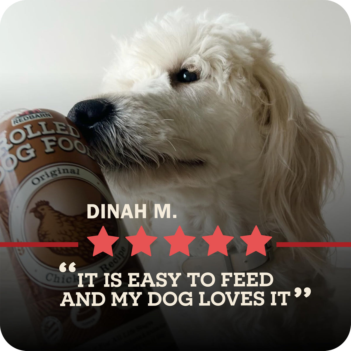 Semi-Moist Rolled Dog Food Beef Recipe 4lb 8 Rolls H481