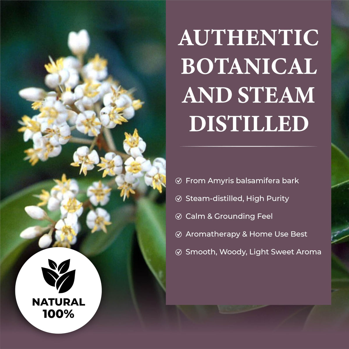100% Natural Steam-Distilled Amyris Balsamifera Essential Oil 4 fl oz G334