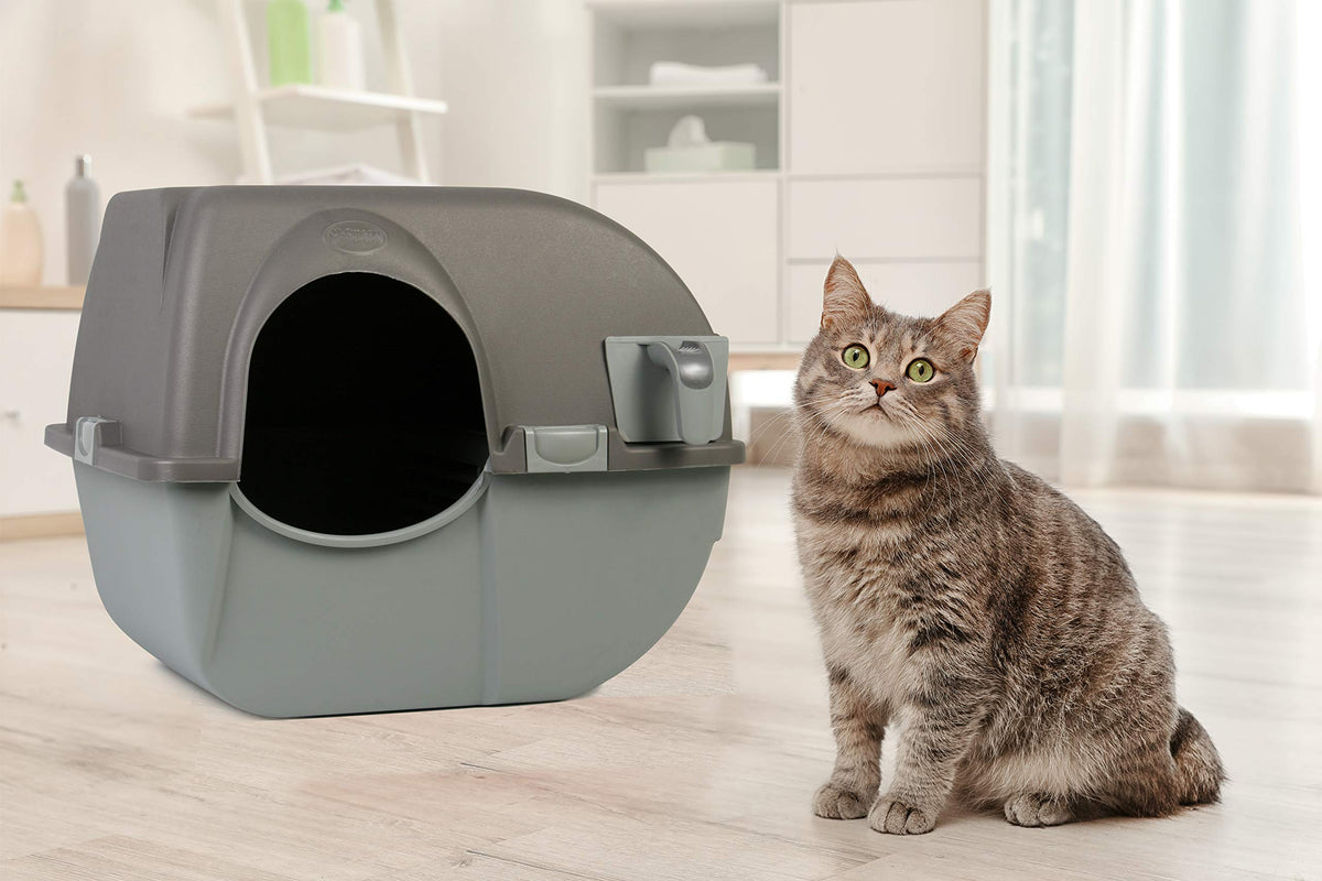 Large Brown Self Cleaning Litter Box L554574