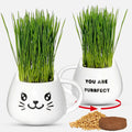 Cat Grass Growing Kit with Seeds, Soil & Ceramic Planter F2029