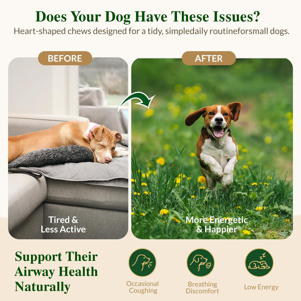 Soft Chews for Dogs J2720