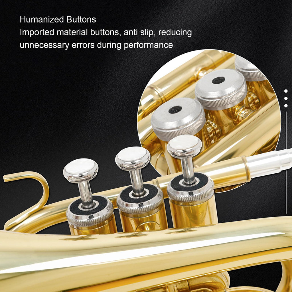 Bb Pocket Trumpet, Ni Plated Brass with 7C Mouthpiece K7647