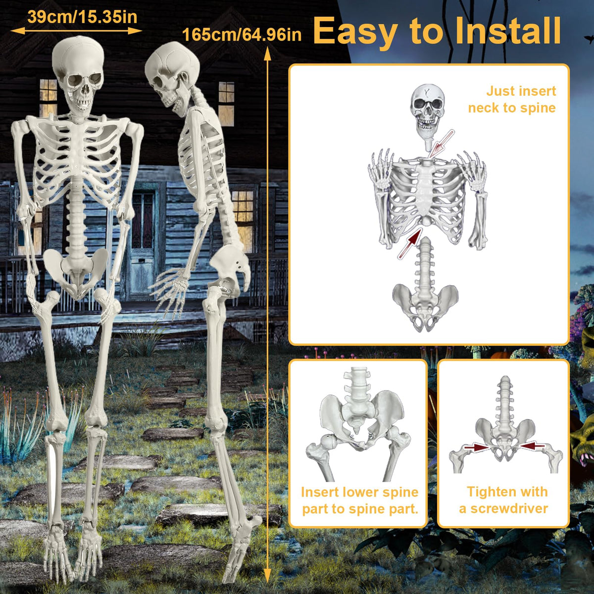 Posable Life Size Skeleton with Movable Joints K697