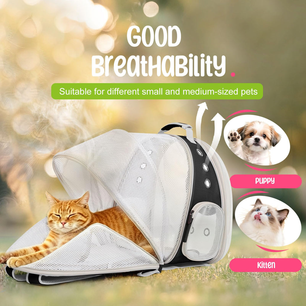 Large Cat Backpack Carrier V2052