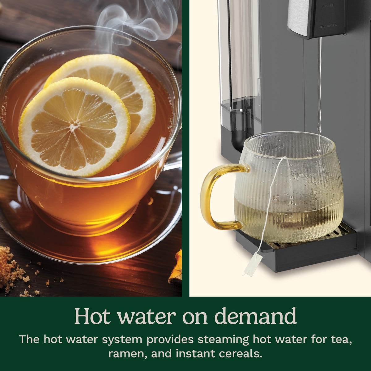 3-in-1 12 Cup Programmable Coffee Maker D72240