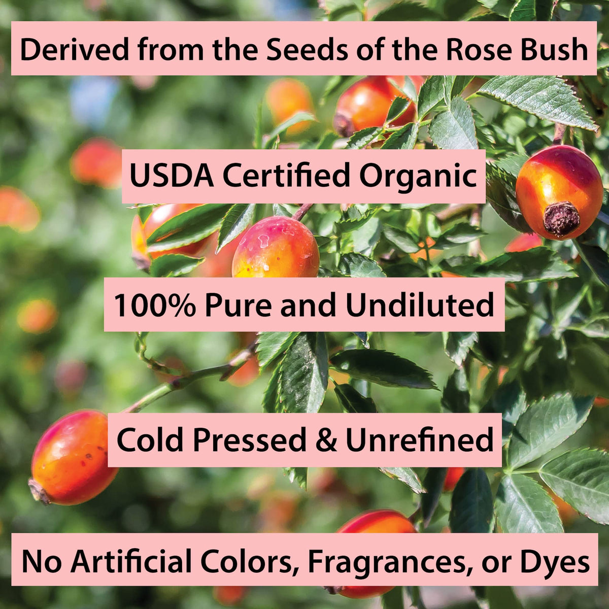 Cold Pressed Rosehip Seed Oil 1 Oz K28229
