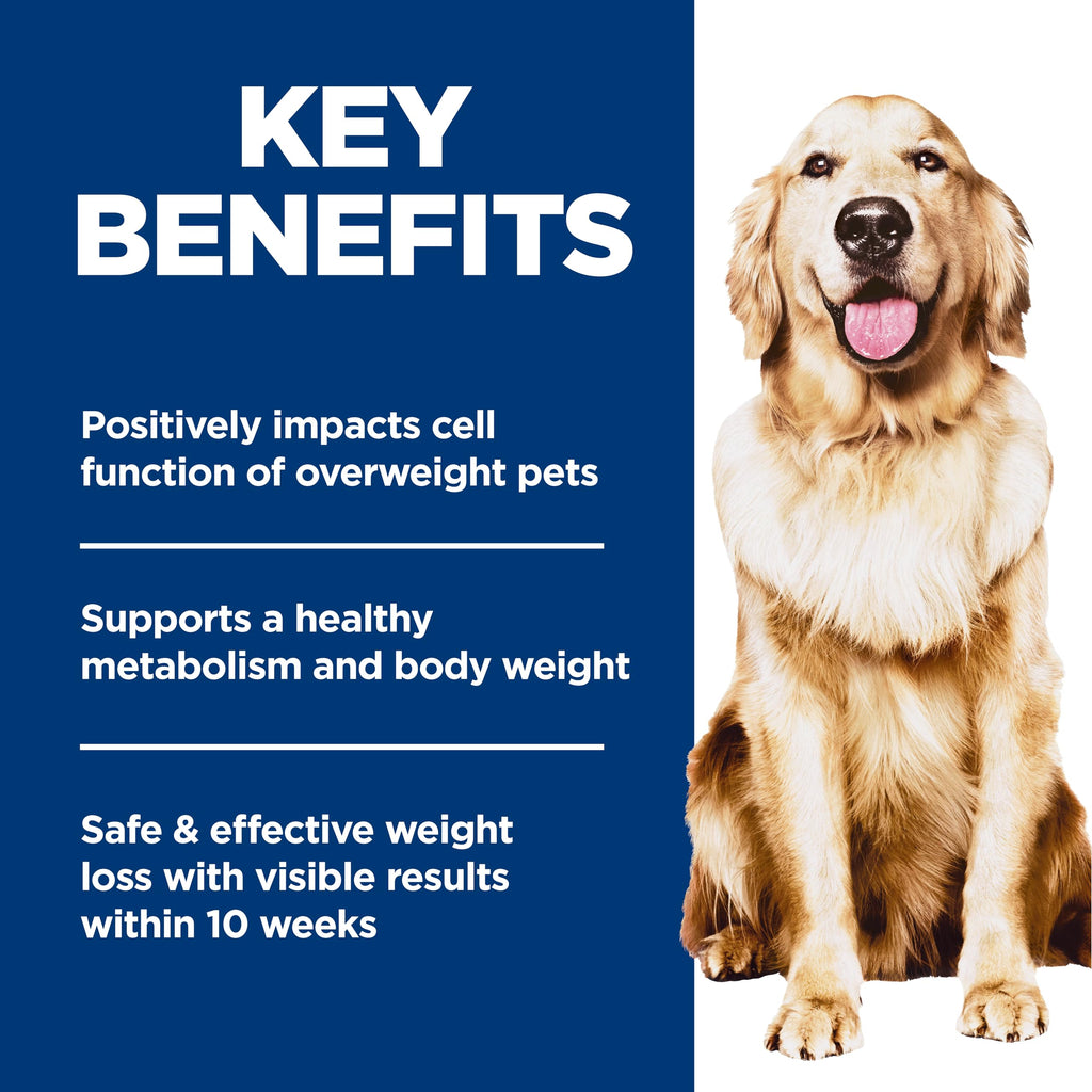 Dry Dog Food E185