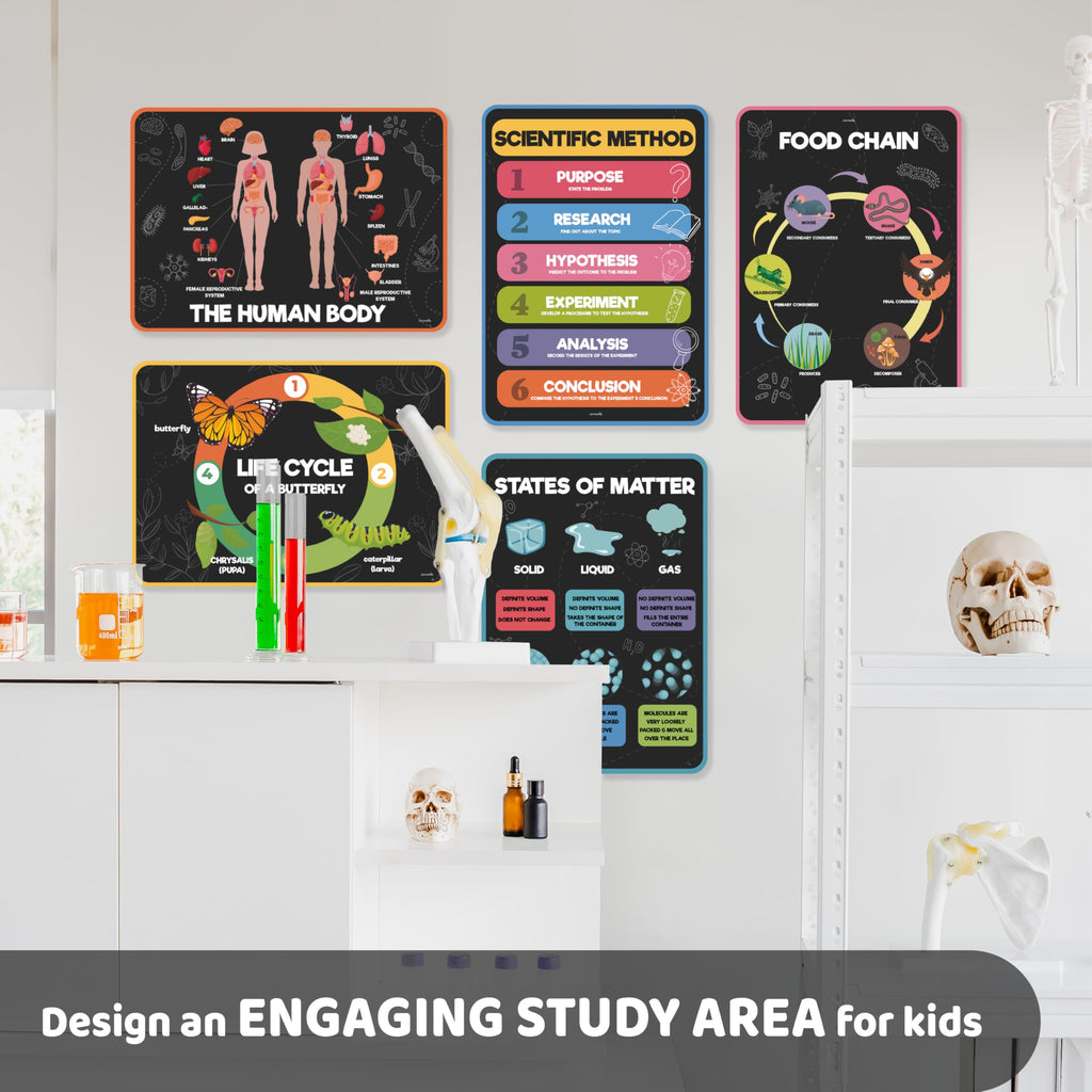 Science Posters for Kids Classroom Decor Q9714