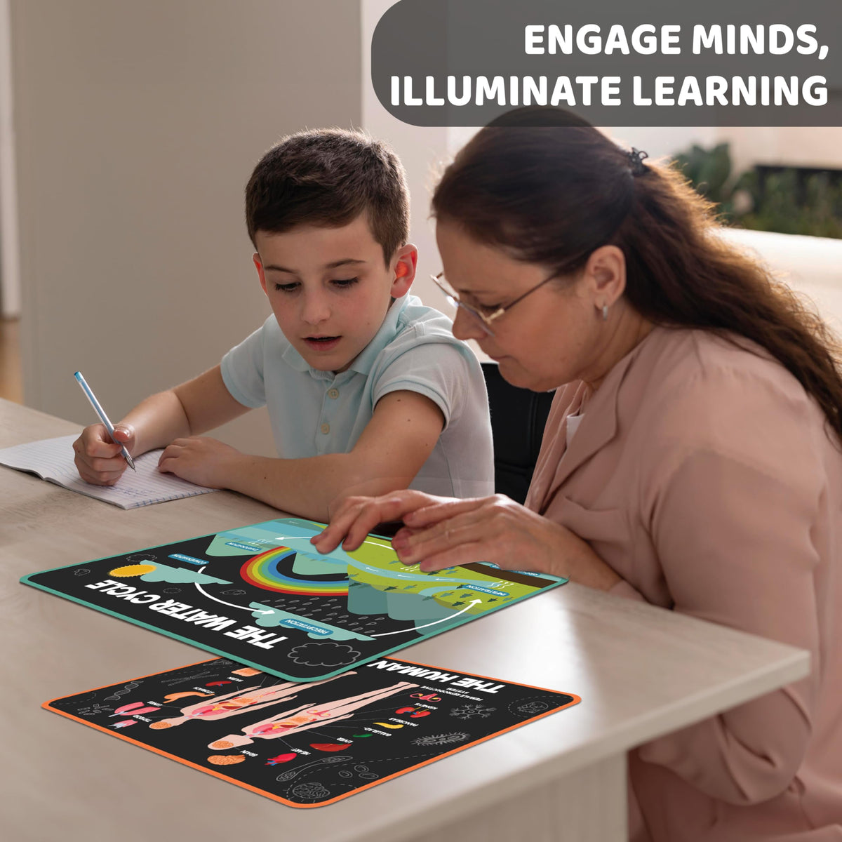Science Posters for Kids Classroom Decor Q9714