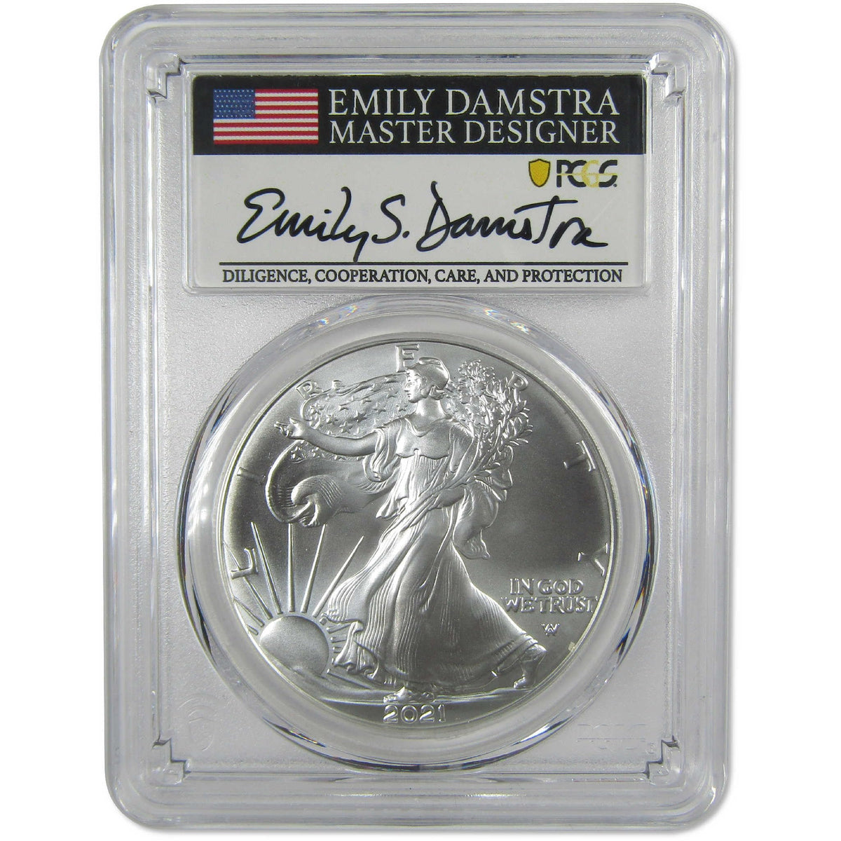 American Silver Eagle Coin R660