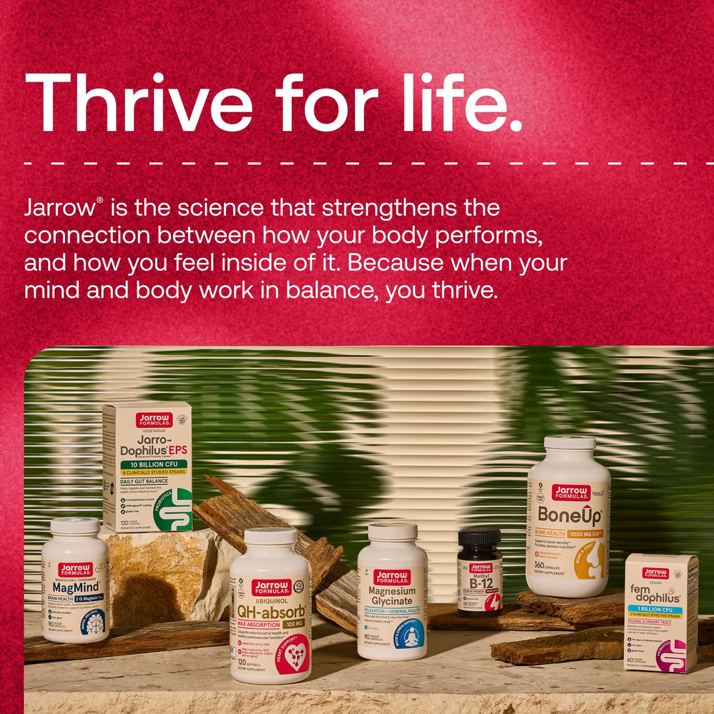 MSM Capsules 1,000 mg 200 Capsules Y6981