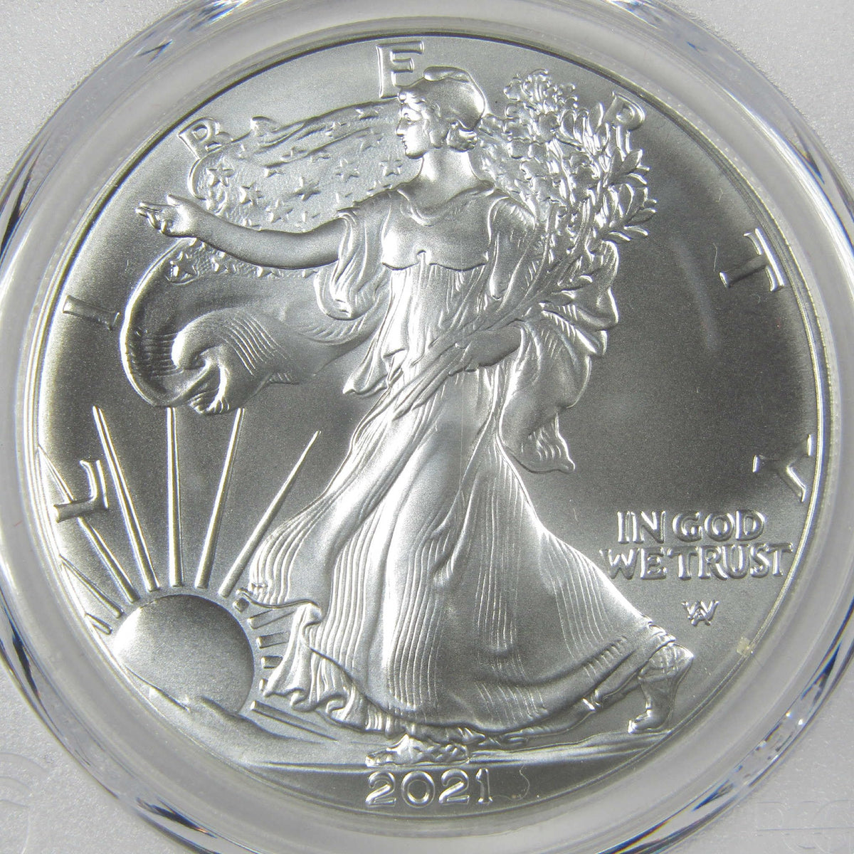 American Silver Eagle Coin R660