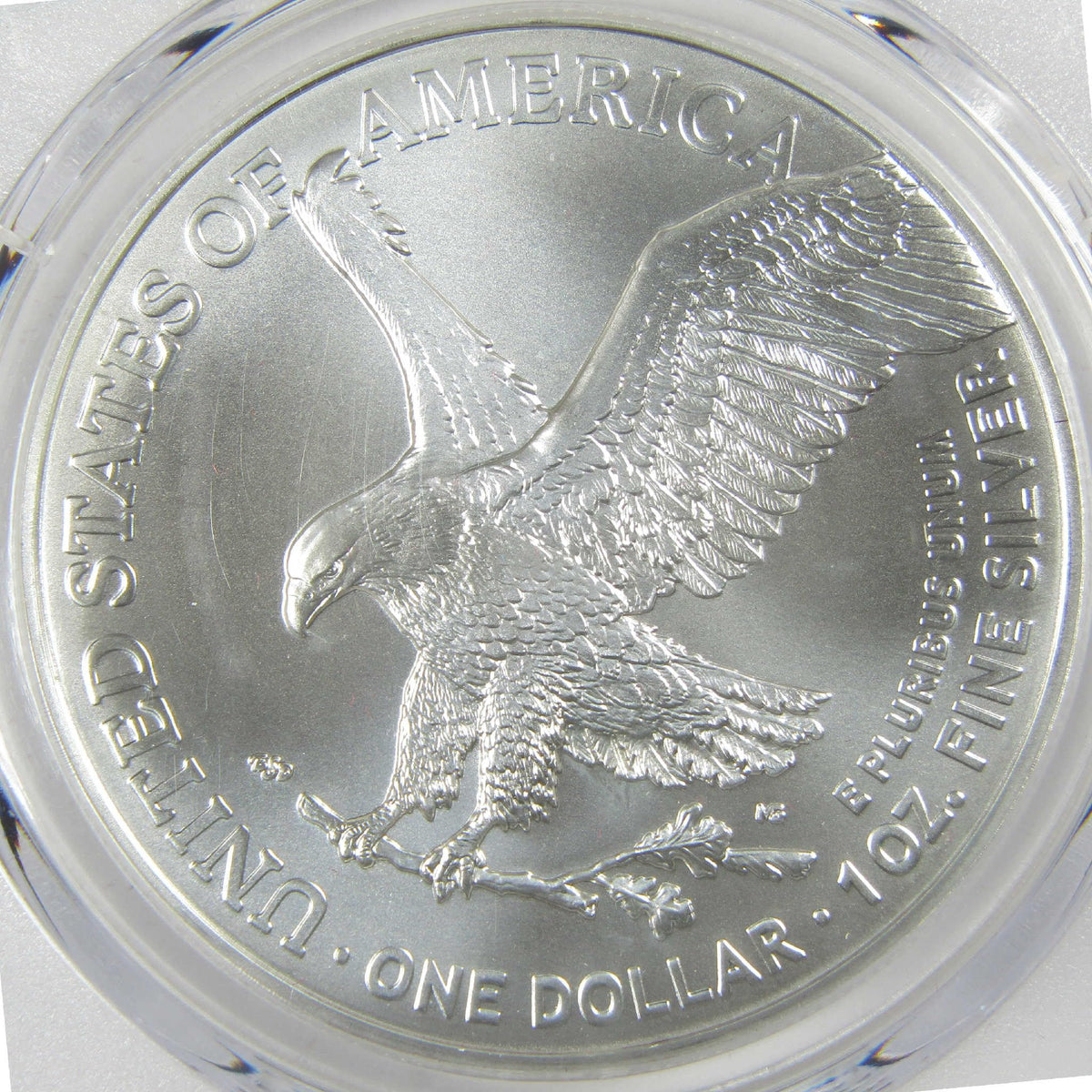 American Silver Eagle Coin R660